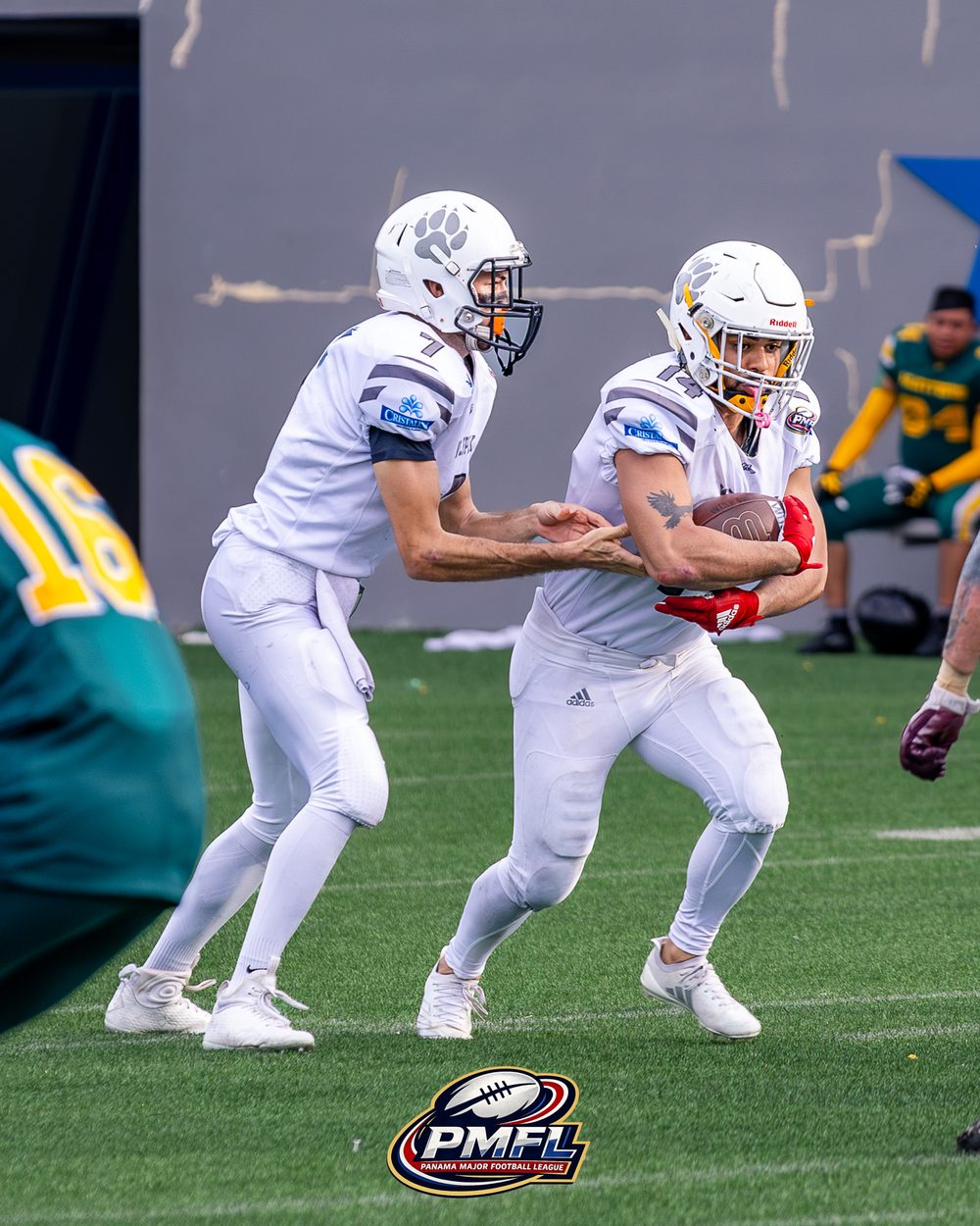 El quarterback de los Wolfpack entrega el balón a su corredor en el partido ante los Hunters de Medellín